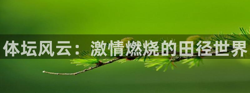 尊龙官网下载平台注册：体坛风云：激情燃烧的田径世界