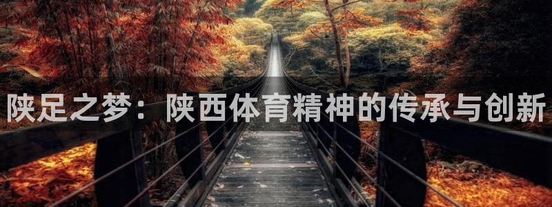 尊龙官网下载招商：陕足之梦：陕西体育精神的传承与创新