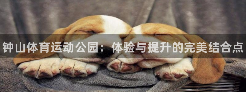 尊龙官网下载招商电话是多少号码：钟山体育运动公园：体验与提升