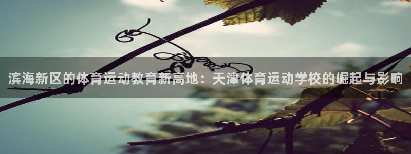 尊龙官方正版app集团E.ON：滨海新区的体育运动教育新高地