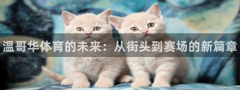 尊龙官网下载招商电话地址是多少：温哥华体育的未来：从