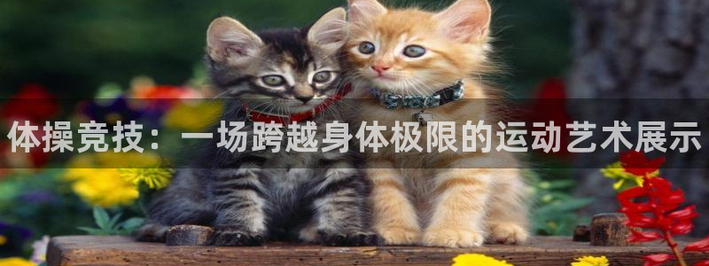 尊龙官网下载联系电话：体操竞技：一场跨越身体极限的运动艺术展