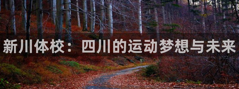 尊龙官方正版app集团官网网址：新川体校：四川的运动
