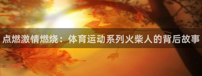 尊龙官方正版app娱乐下载：点燃激情燃烧：体育运动系列火柴人