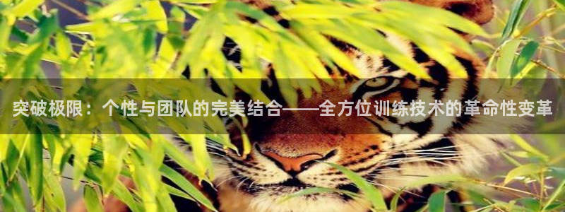 海南尊龙官网下载发展怎么样：突破极限：个性与团队的完