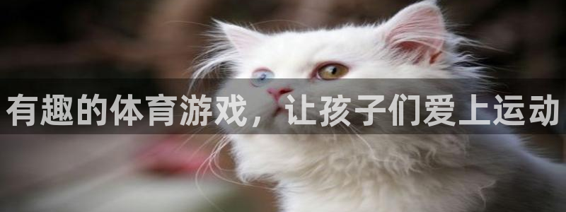 尊龙官方正版app开户：有趣的体育游戏，让孩子们爱上