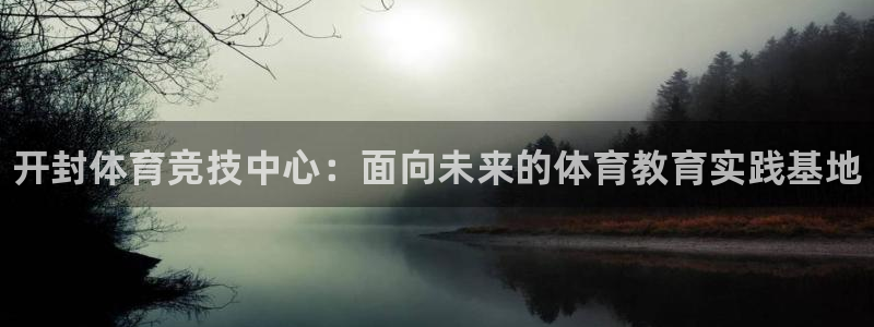 尊龙官方正版app集团：开封体育竞技中心：面向未来的