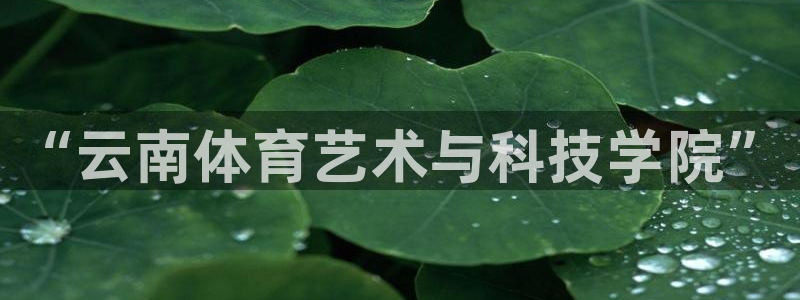 尊龙官网下载娱乐：“云南体育艺术与科技学院”