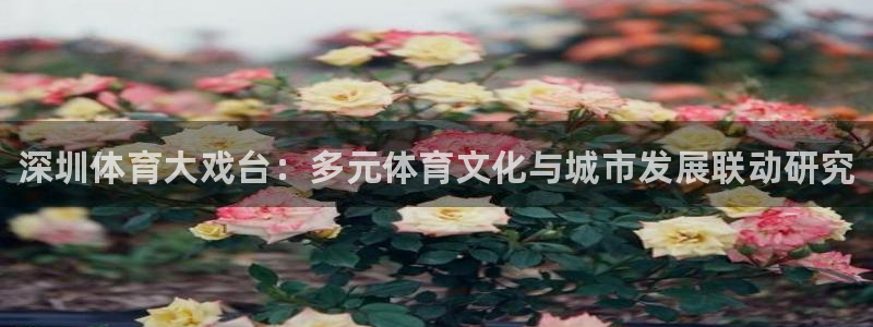 尊龙官方正版app开户：深圳体育大戏台：多元体育文化与城市发