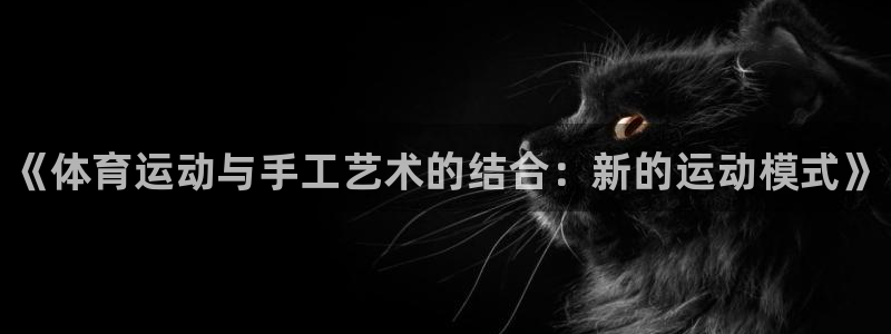 尊龙官方正版app新能源：《体育运动与手工艺术的结合