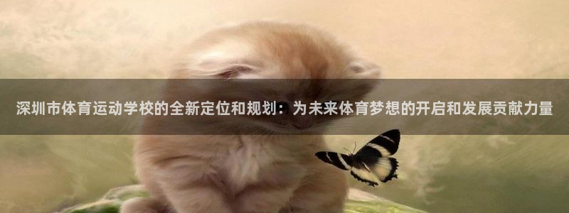 尊龙官网下载平台假的吗是真的吗吗：深圳市体育运动学校