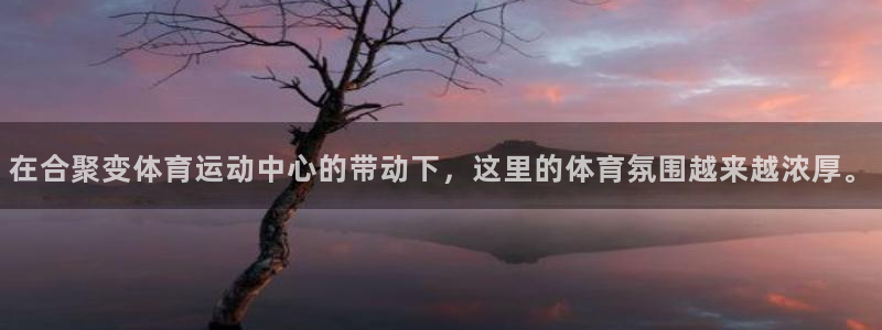 尊龙官方正版app五金厂：在合聚变体育运动中心的带动