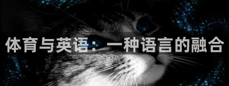 尊龙官方正版app集团官网首页网址：体育与英语：一种