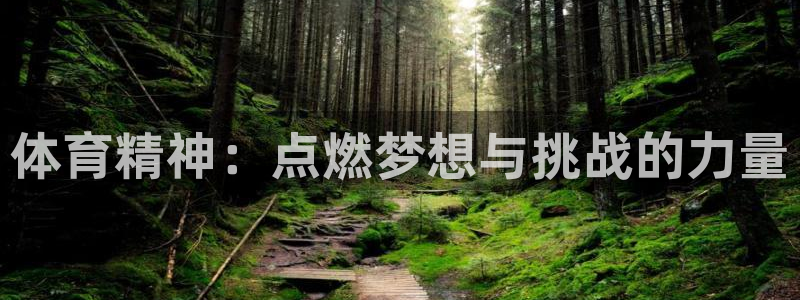 尊龙官网下载招商电话地址查询：体育精神：点燃梦想与挑