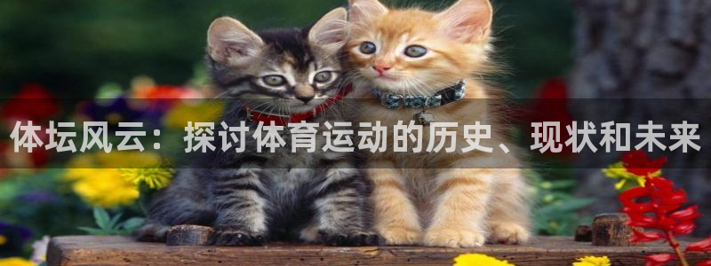 尊龙官网下载招商电话号码是多少号：体坛风云：探讨体育