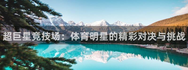 尊龙官方正版app五金厂：超巨星竞技场：体育明星的精彩对决与