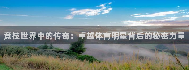 尊龙官网下载平台注册要钱吗安全吗：竞技世界中的传奇：