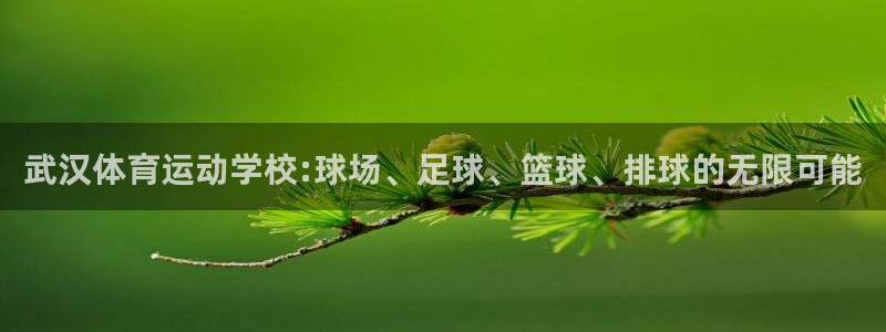 尊龙官方正版app新能源：武汉体育运动学校:球场、足