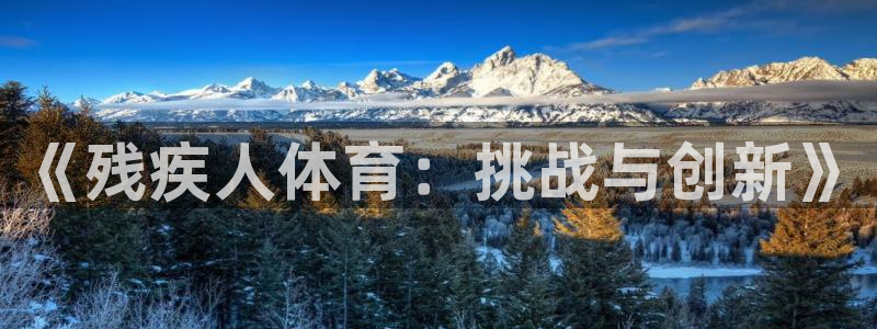 尊龙官网下载平台注册流程图：《残疾人体育：挑战与创新