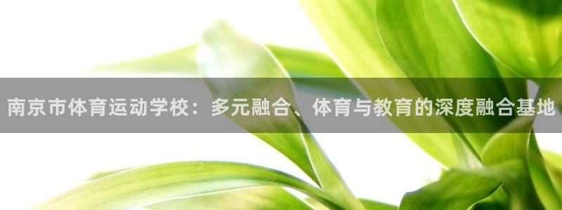 尊龙官方集团官网：南京市体育运动学校：多元融合、体育与教育的