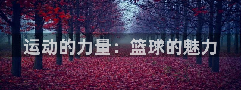 尊龙官网下载平台注册流程图：运动的力量：篮球的魅力