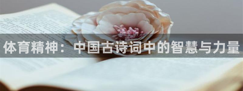 尊龙官网下载娱乐：体育精神：中国古诗词中的智慧与力量