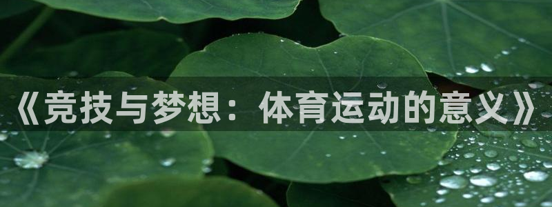 尊龙官方正版app集团logo：《竞技与梦想：体育运动的意义