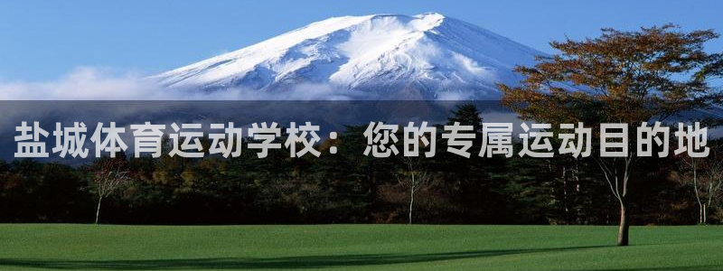 尊龙官网下载招商电话号码