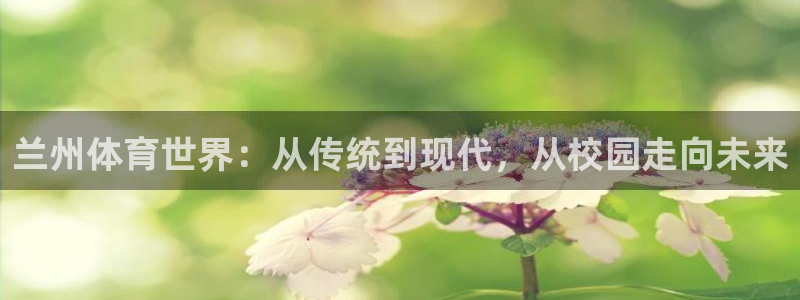 尊龙官网下载软件：兰州体育世界：从传统到现代，从校园走向未来