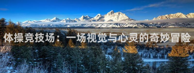 尊龙官方正版app集团官网网址：体操竞技场：一场视觉与心灵的