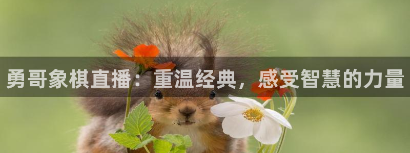河豚面