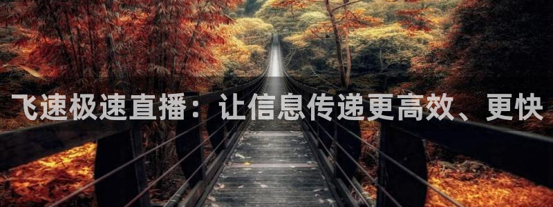 河豚体育足球直播