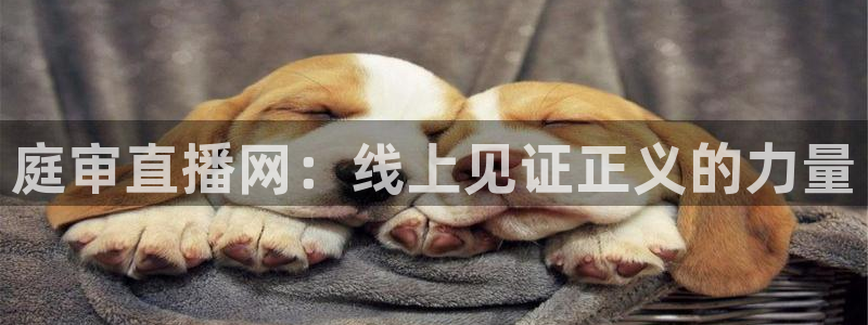 河豚的直播网