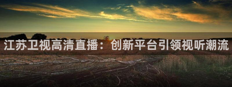 河豚nba篮球直播在线观看：江苏卫视高清直播：创新平台引领视听潮流