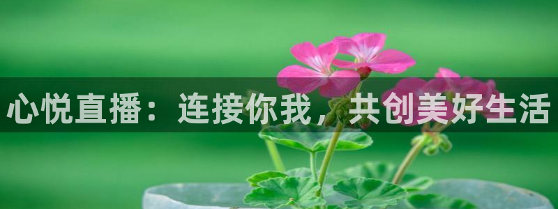 河豚体育直播网：心悦直播：连接你我，共创美好生活