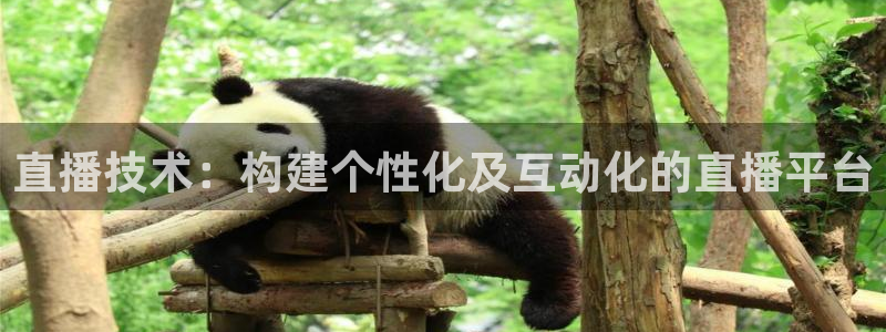 河豚体育篮球直播：直播技术：构建个性化及互动化的直播平台