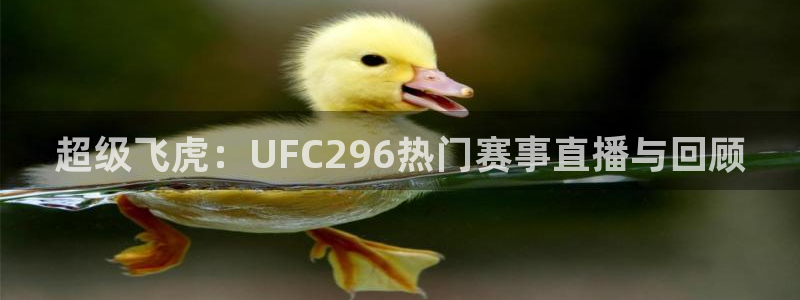 河豚体育直播app官网入口：超级飞虎：UFC296热门赛事直播与回顾