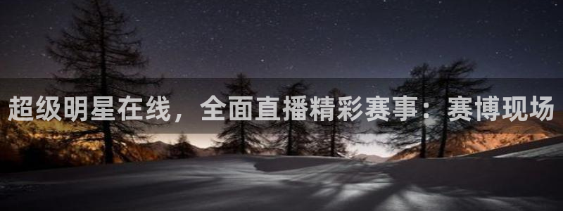 河豚足球比赛直播：超级明星在线，全面直播精彩赛事：赛博现场