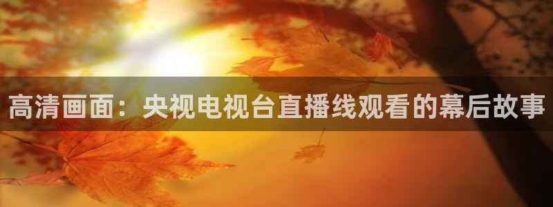 河豚直播看球app下载最新版：高清画面：央视电视台直播线观看的幕后故事