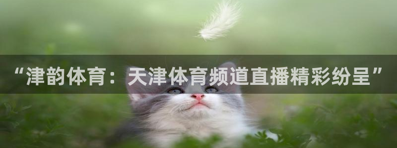 河豚足球比赛直播：“津韵体育：天津体育频道直播精彩纷呈”