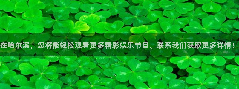 河豚的：在哈尔滨，您将能轻松观看更多精彩娱乐节目。联系我们获取更多详情！