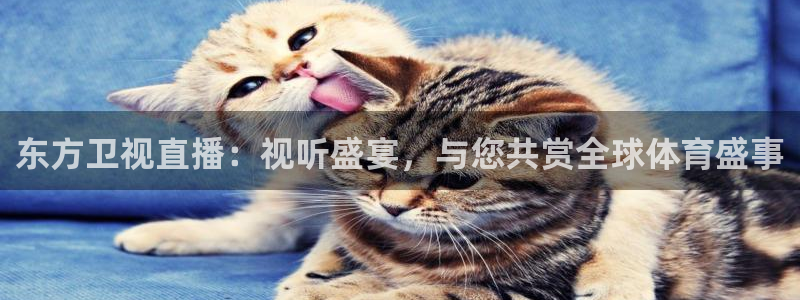 河豚河豚：东方卫视直播：视听盛宴，与您共赏全球体育盛事