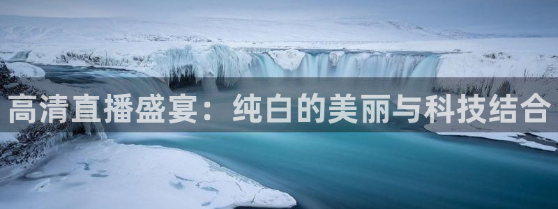 河豚在线nba直播：高清直播盛宴：纯白的美丽与科技结合