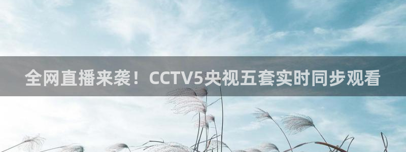 河豚体育直播在线播放：全网直播来袭！CCTV5央视五套实时同步观看
