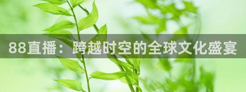 nba直播河豚：88直播：跨越时空的全球文化盛宴