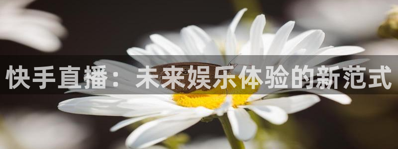 河豚搞笑：快手直播：未来娱乐体验的新范式